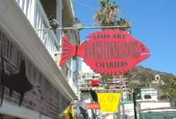 Fishanados Charters cruises